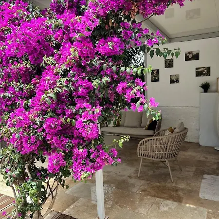 La Capte 4-6 Person With Garden And Pool Appartement Hyères